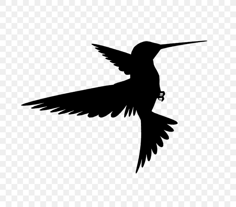 Detail Hummingbird Silhouette Png Nomer 7