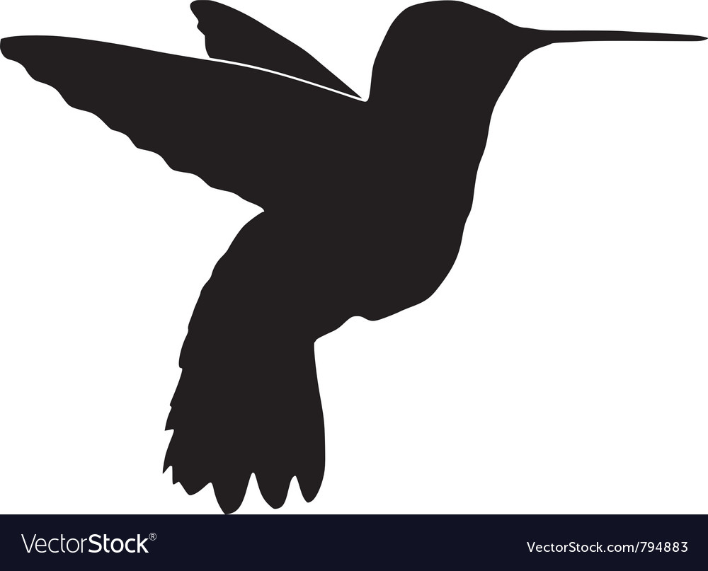 Hummingbird Silhouette Vector - KibrisPDR