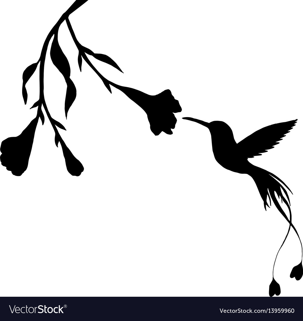 Detail Hummingbird Silhouette Vector Nomer 2