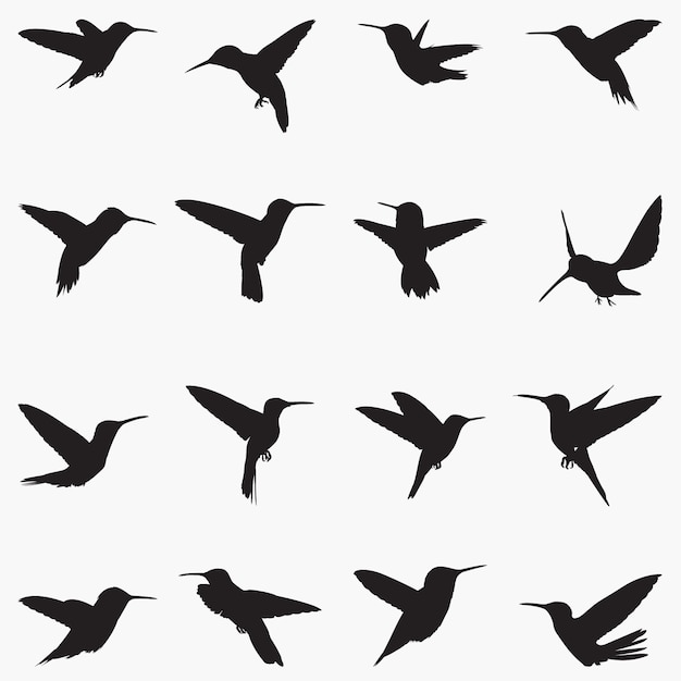 Detail Hummingbird Silhouette Vector Nomer 22