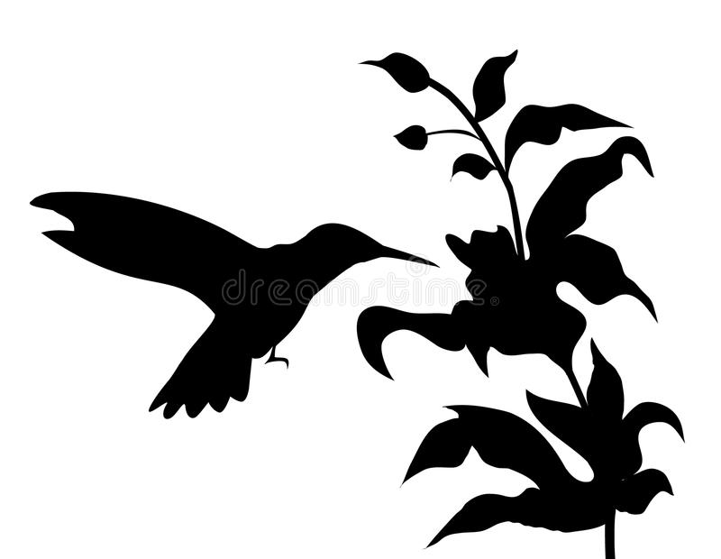 Detail Hummingbird Silhouette Vector Nomer 42