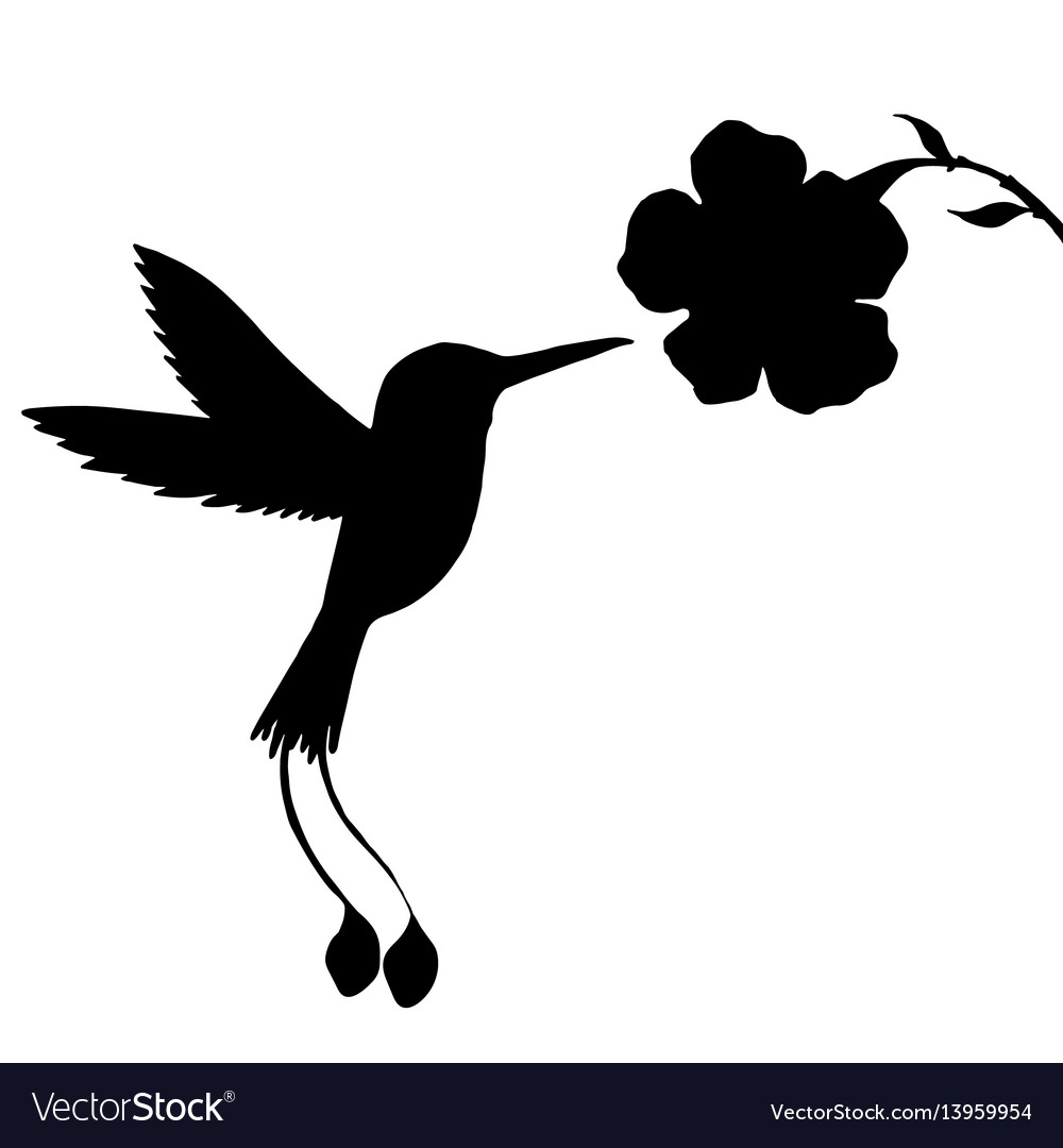 Detail Hummingbird Silhouette Vector Nomer 7