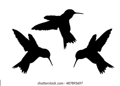 Detail Hummingbird Silhouettes Nomer 14