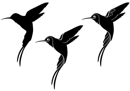 Detail Hummingbird Silhouettes Nomer 19