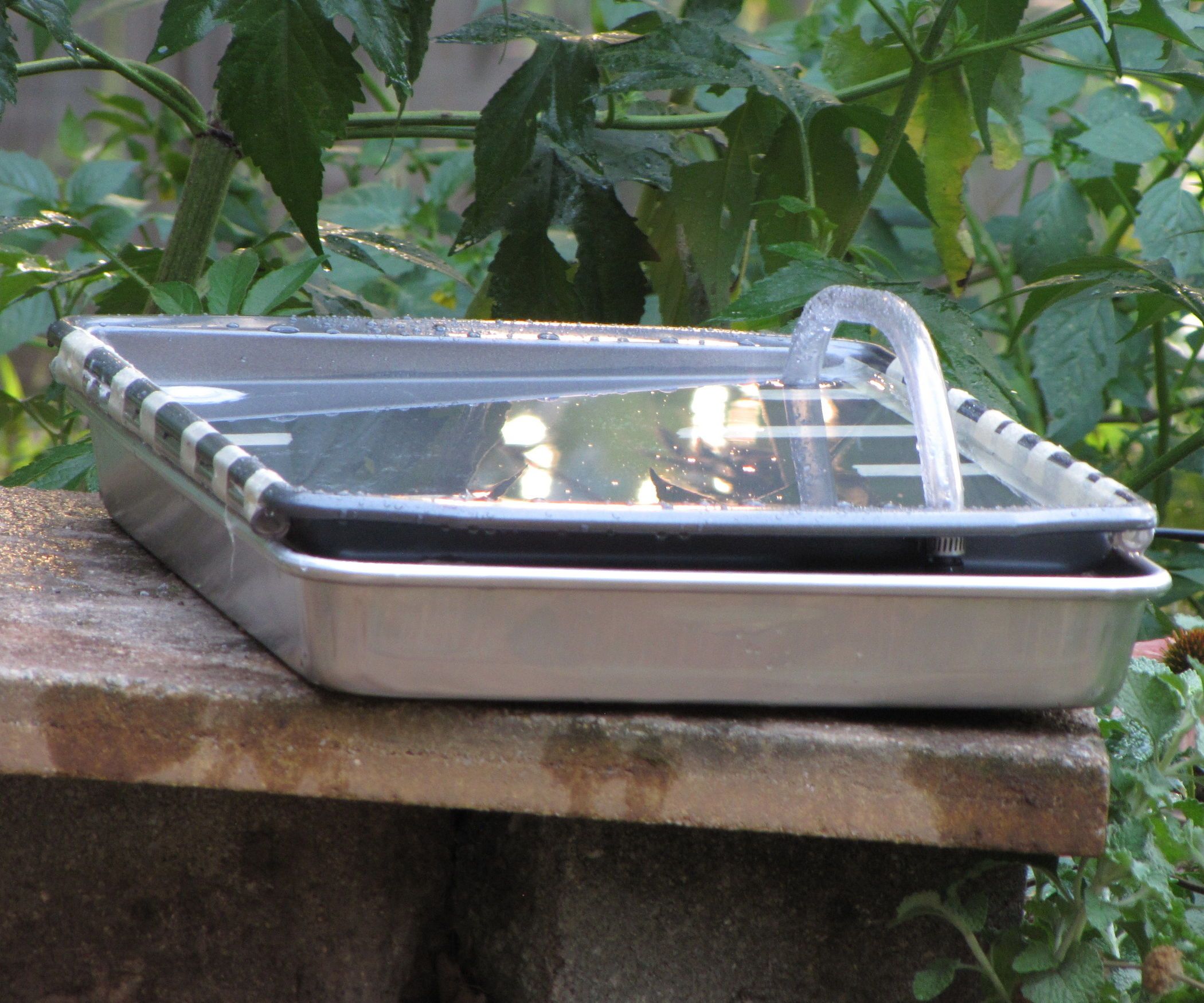 Detail Hummingbird Solar Bird Bath Nomer 31