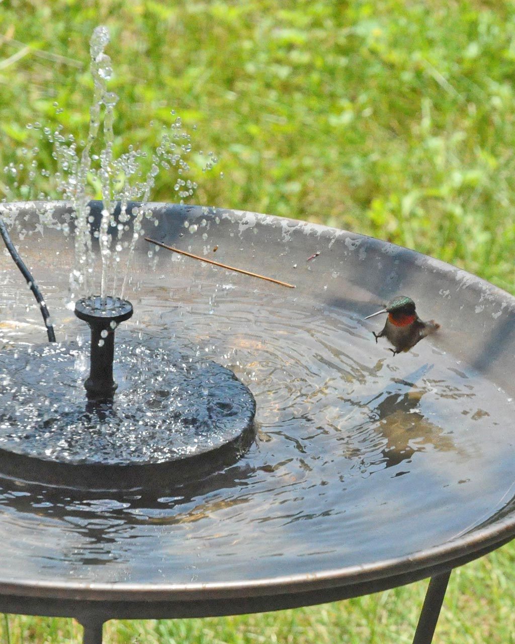 Detail Hummingbird Solar Fountain Nomer 3