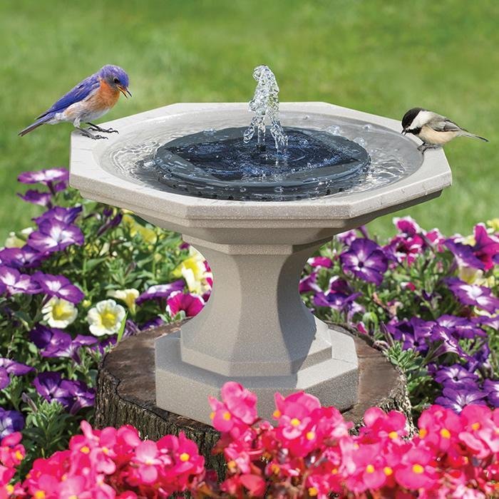 Detail Hummingbird Solar Fountain Nomer 8