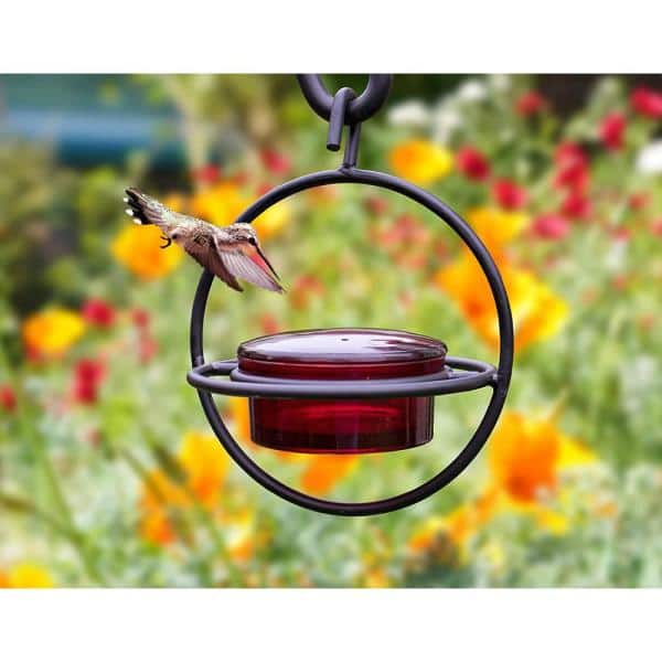 Detail Hummingbird Swing Seat Nomer 21