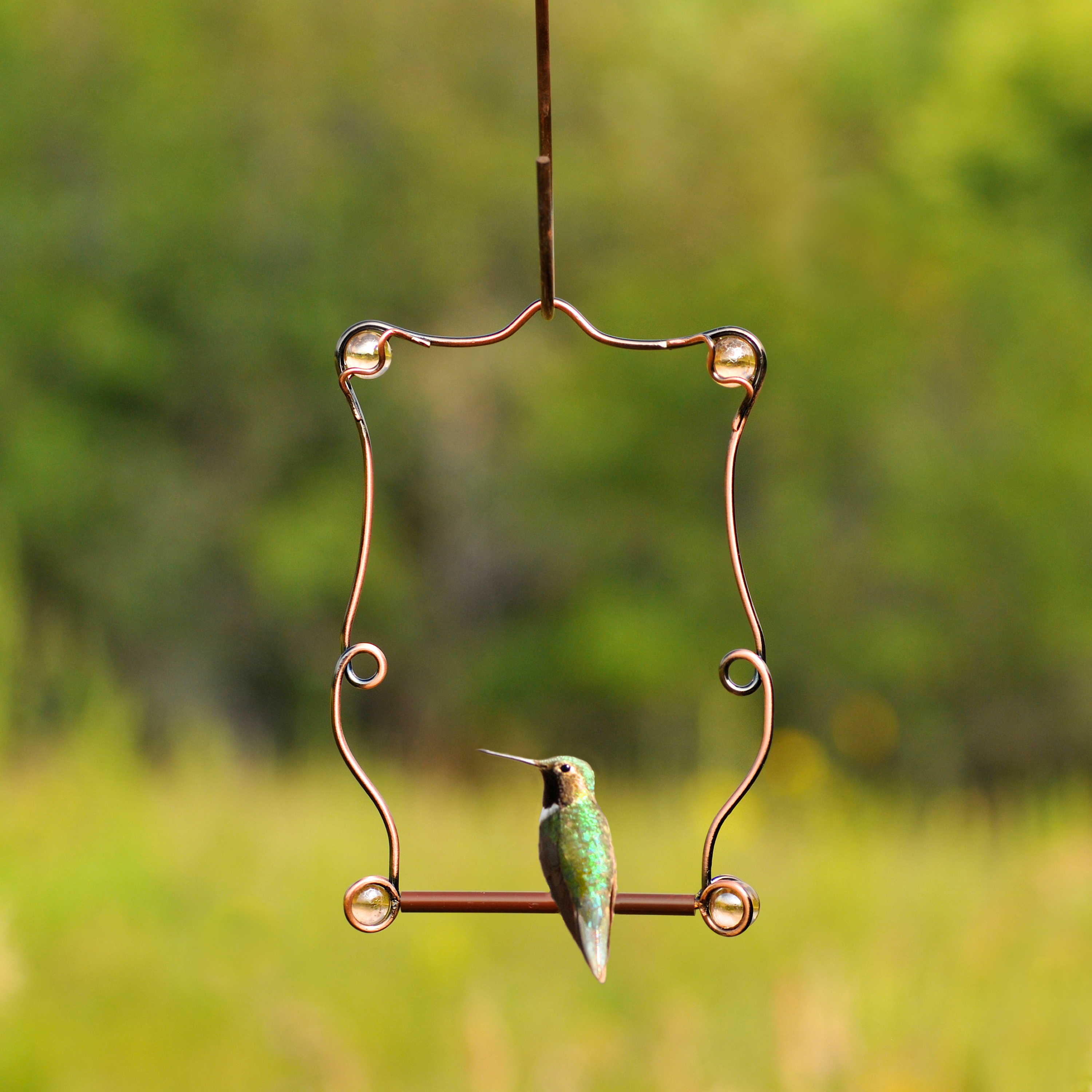 Detail Hummingbird Swing Seat Nomer 3