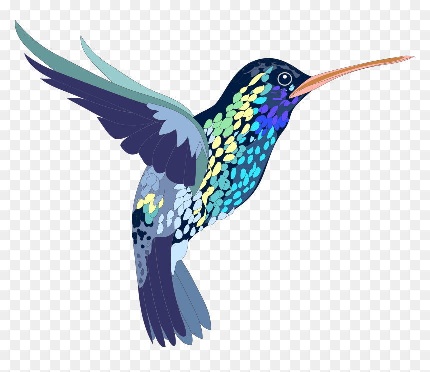 Detail Hummingbird Transparent Nomer 46