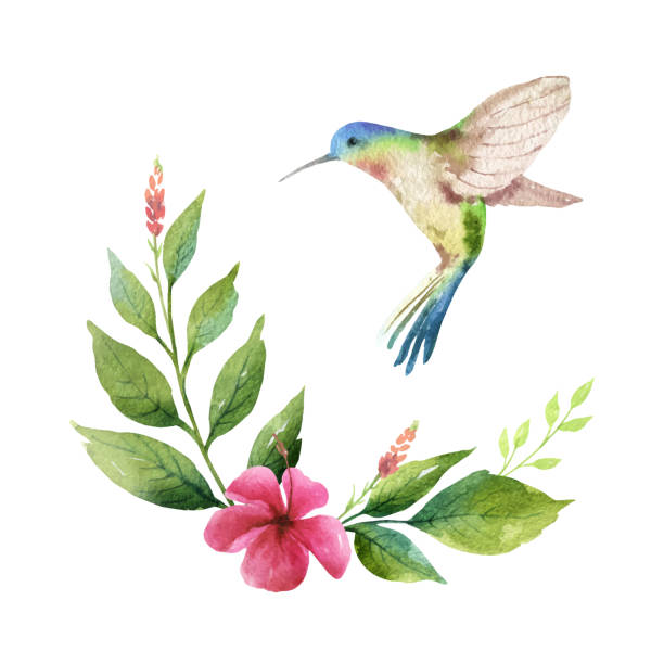 Hummingbird With Flower Clipart - KibrisPDR