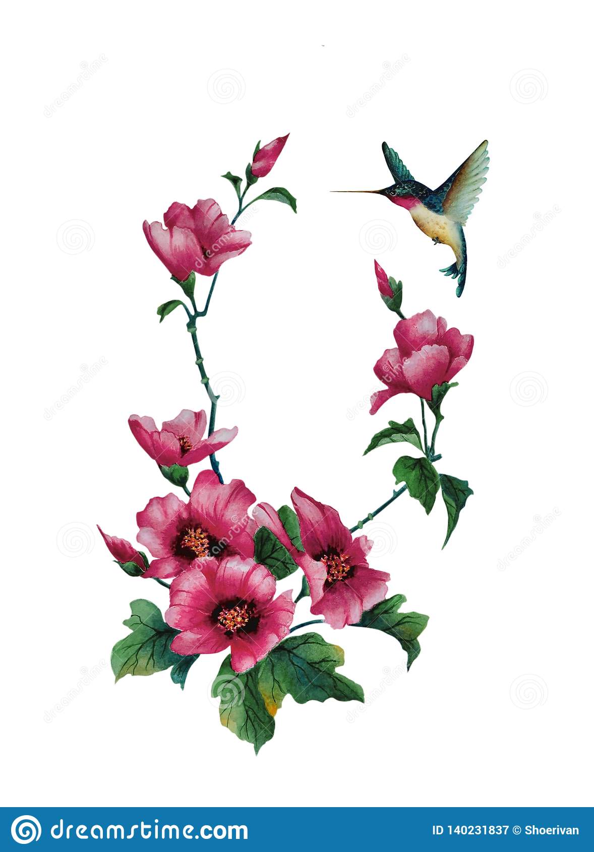 Detail Hummingbird With Flower Clipart Nomer 10