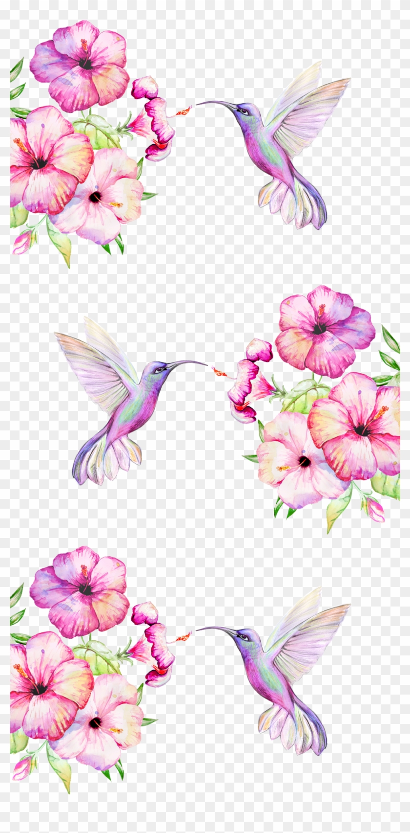 Detail Hummingbird With Flower Clipart Nomer 12