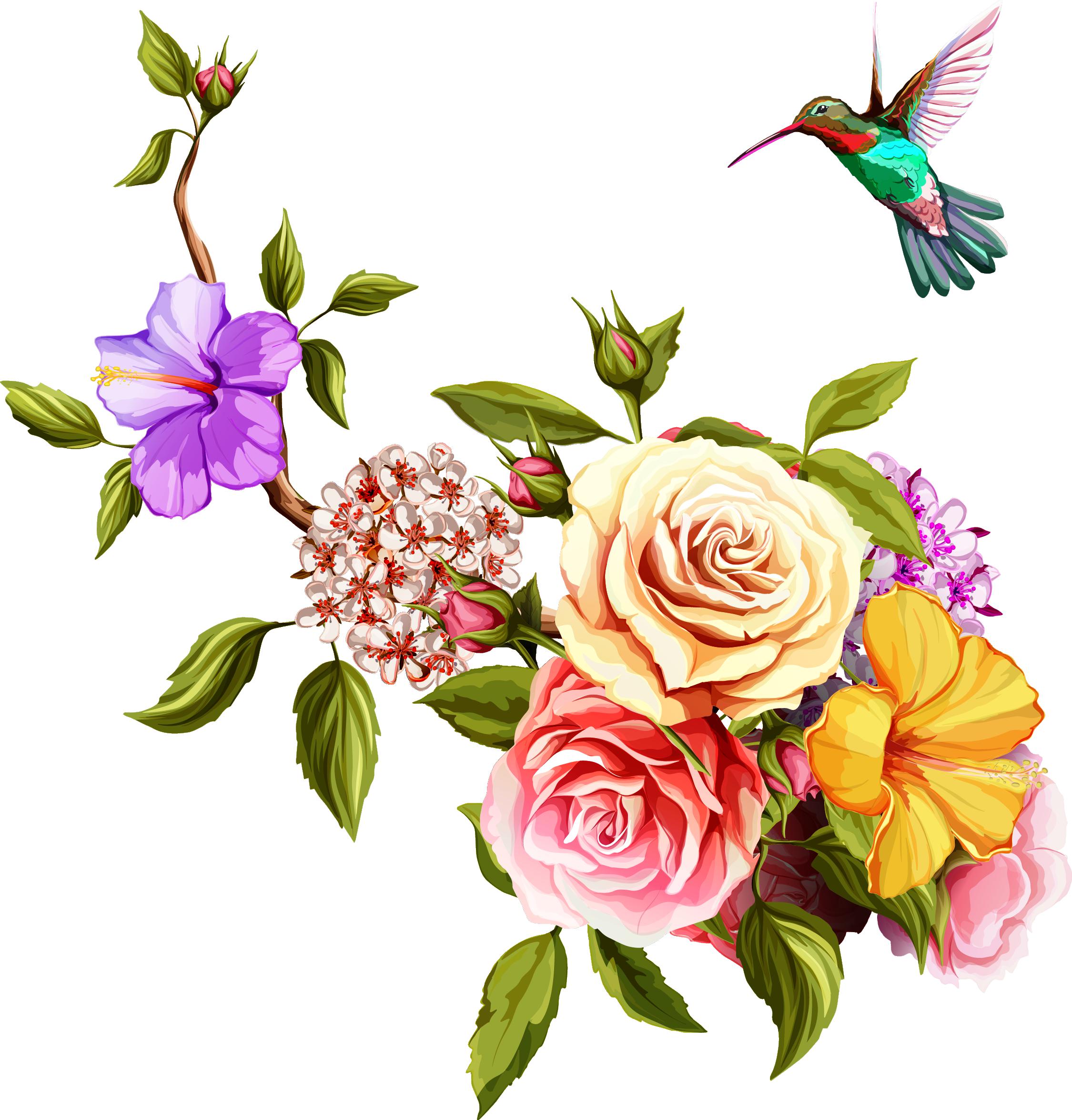 Detail Hummingbird With Flower Clipart Nomer 26