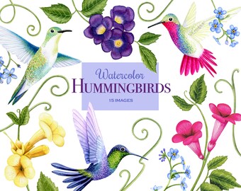 Detail Hummingbird With Flower Clipart Nomer 30