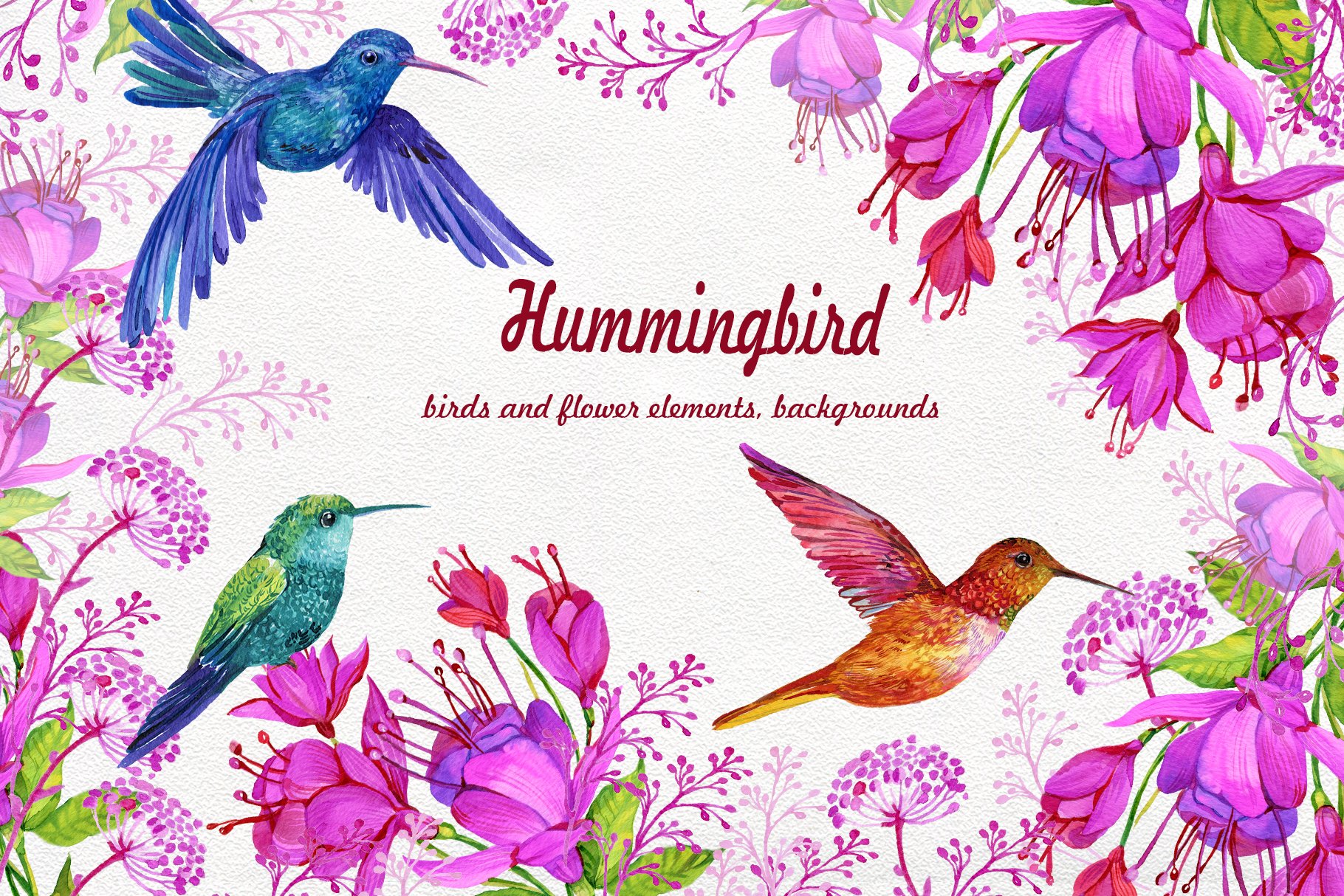 Detail Hummingbird With Flower Clipart Nomer 31