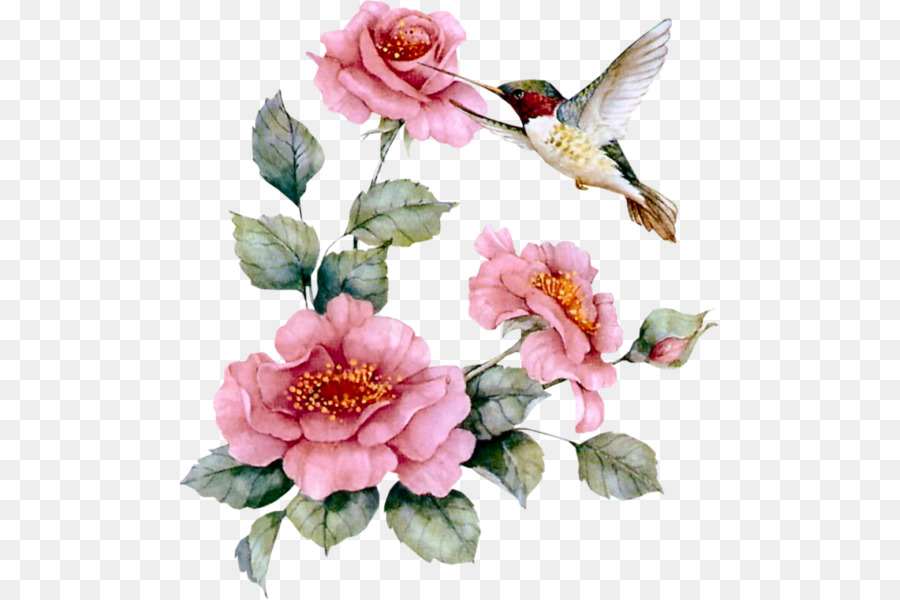 Detail Hummingbird With Flower Clipart Nomer 41