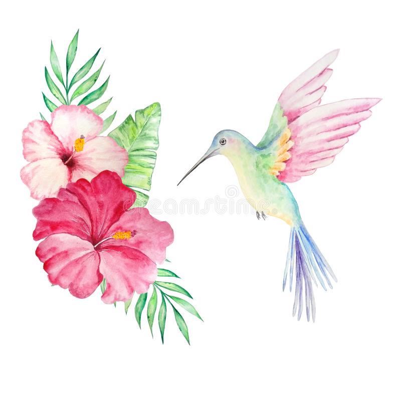 Detail Hummingbird With Flower Clipart Nomer 44