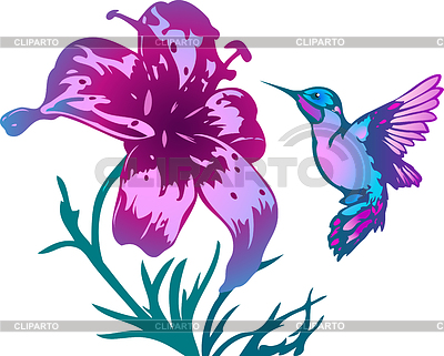 Detail Hummingbird With Flower Clipart Nomer 45