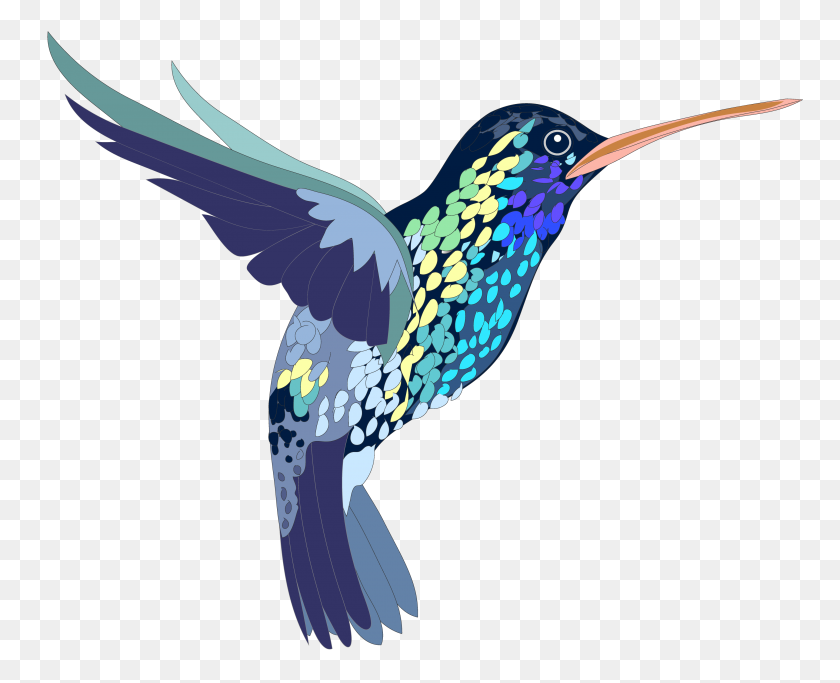 Detail Hummingbird With Flower Clipart Nomer 50