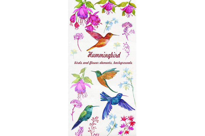 Detail Hummingbird With Flower Clipart Nomer 53