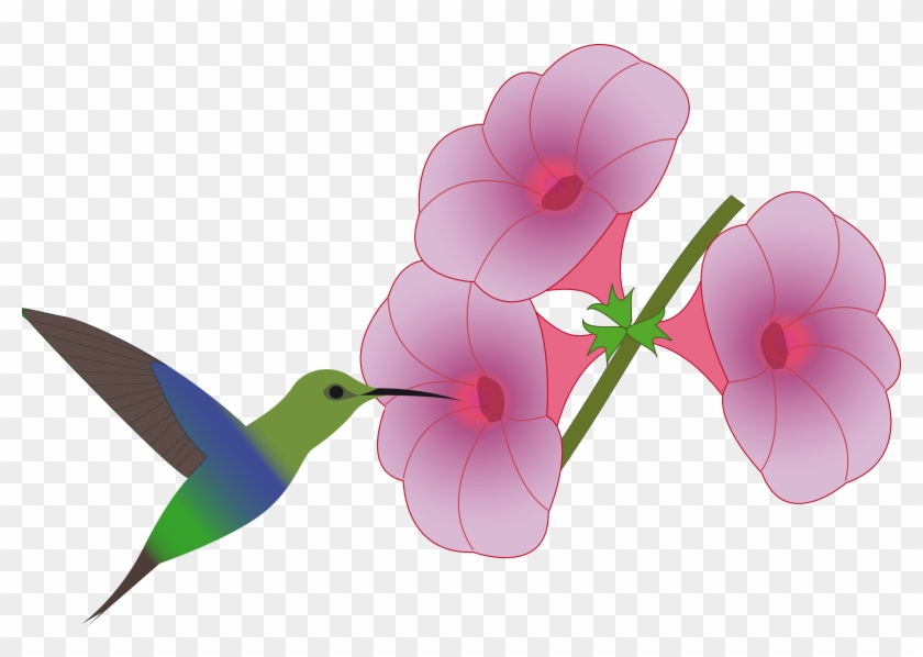 Detail Hummingbird With Flower Clipart Nomer 8