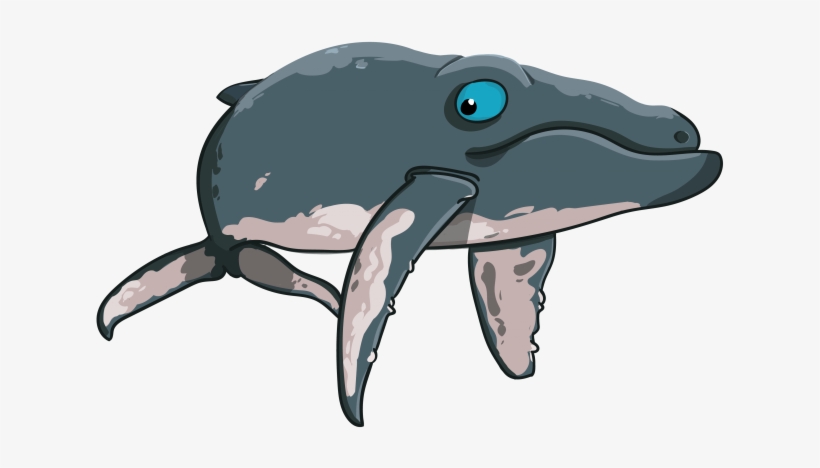 Detail Humpback Whale Png Nomer 29