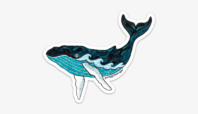 Detail Humpback Whale Png Nomer 36