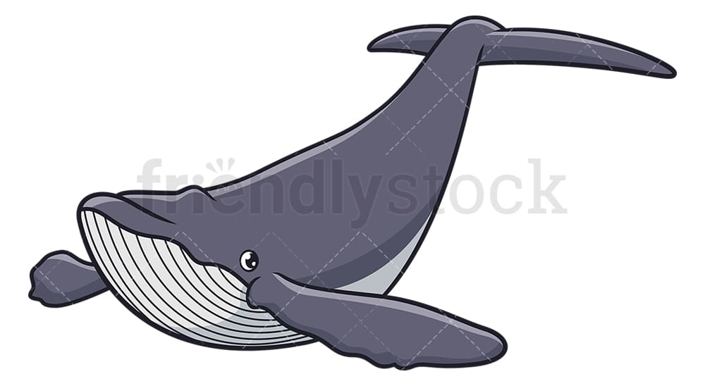 Detail Humpback Whale Png Nomer 45