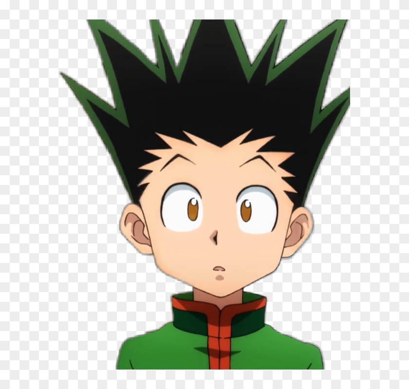 Detail Hunter X Hunter Png Nomer 24