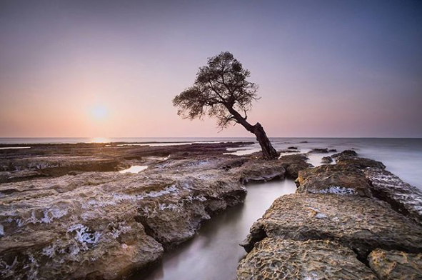 Detail Hunting Foto Di Pantai Nomer 38