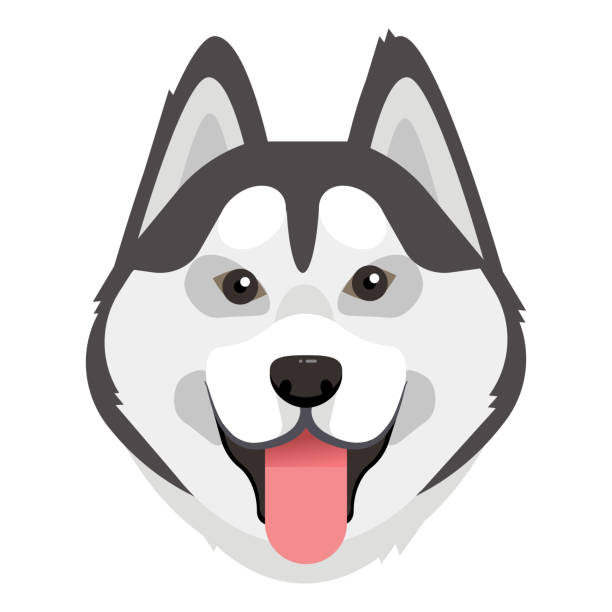 Detail Huskies Clipart Nomer 3