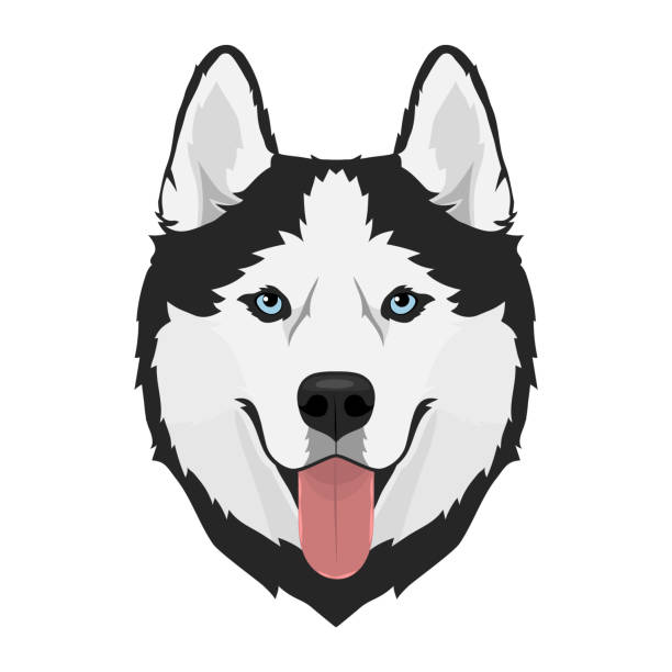 Detail Husky Clipart Nomer 22