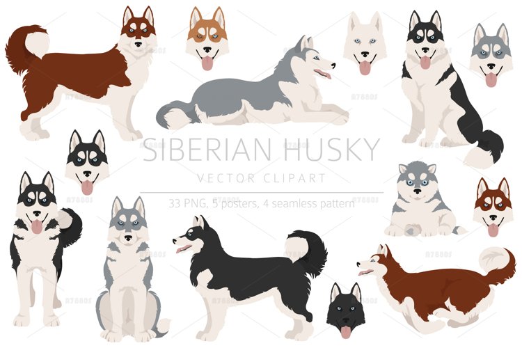 Detail Husky Clipart Nomer 26