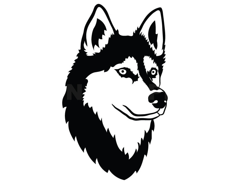 Detail Husky Clipart Nomer 5