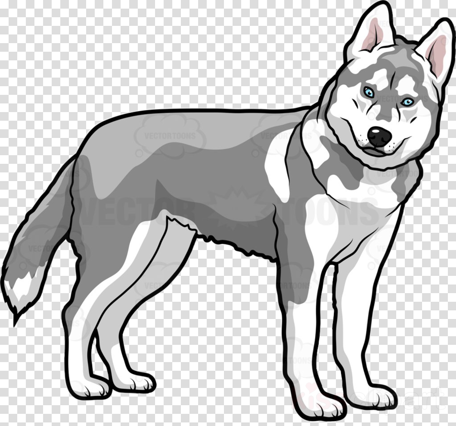 Detail Husky Clipart Nomer 50