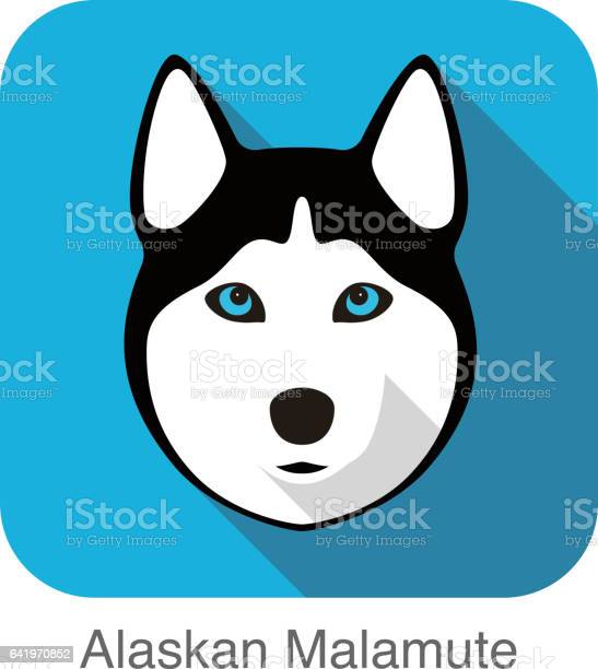 Detail Husky Face Clipart Nomer 32