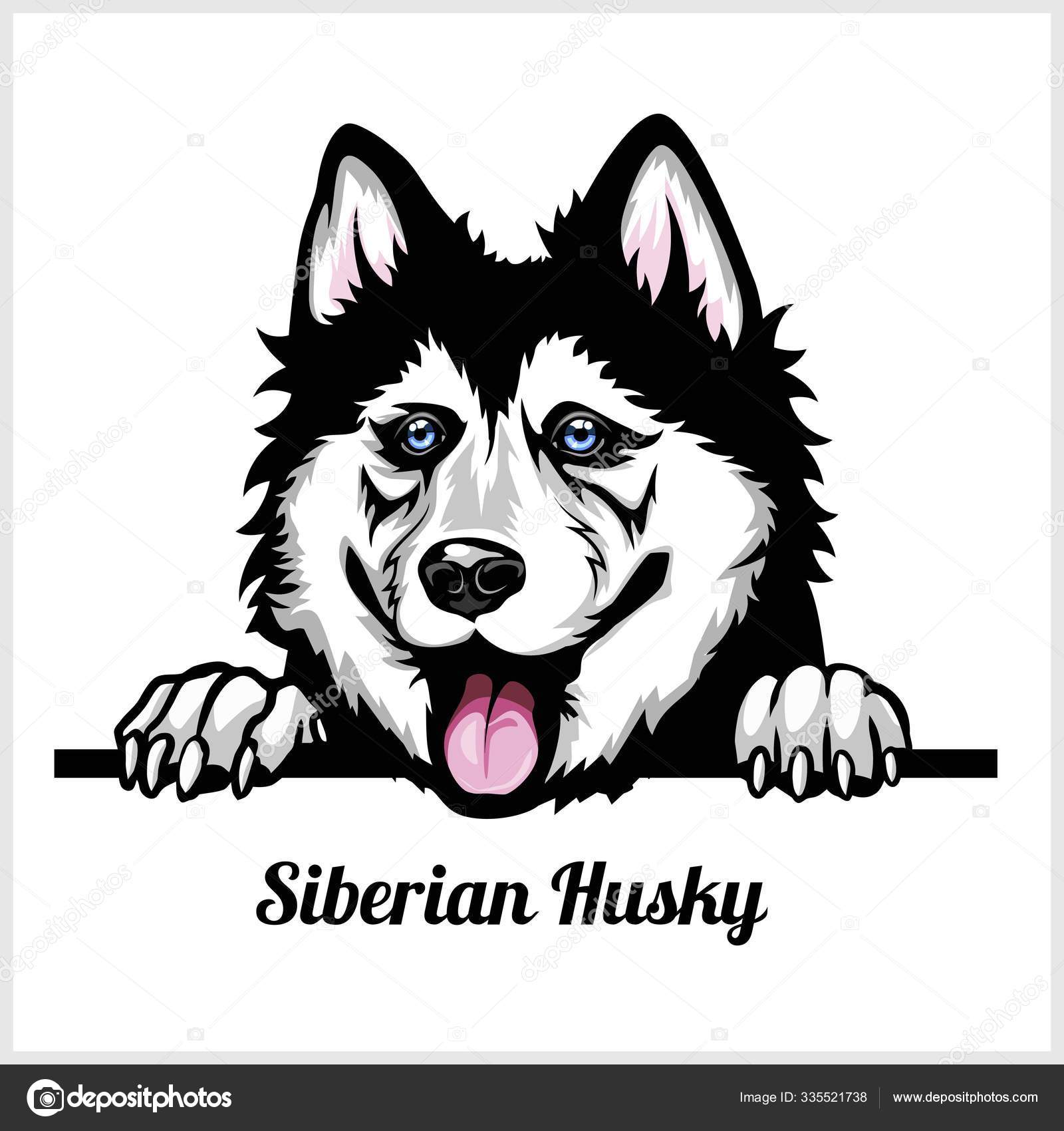 Detail Husky Face Clipart Nomer 35