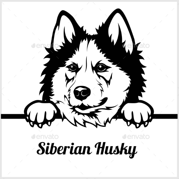 Detail Husky Face Clipart Nomer 37