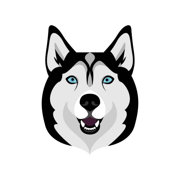 Detail Husky Face Clipart Nomer 49