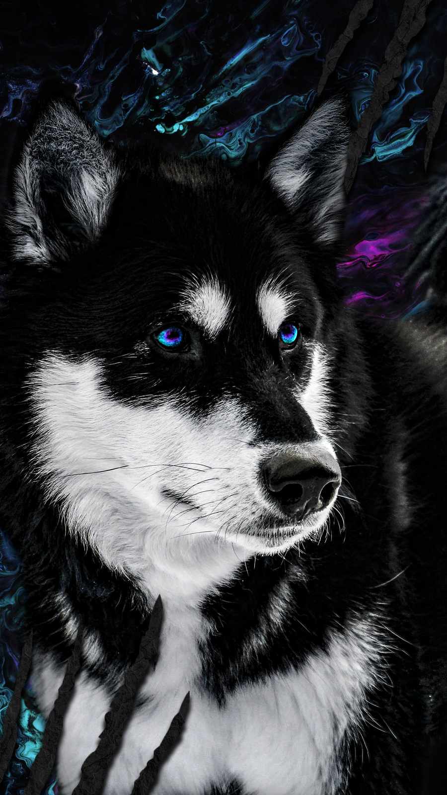 Detail Husky Iphone Wallpaper Nomer 48