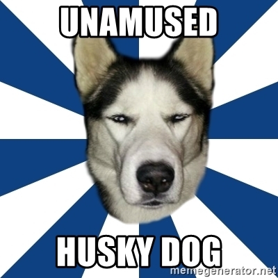 Detail Husky Meme Generator Nomer 45