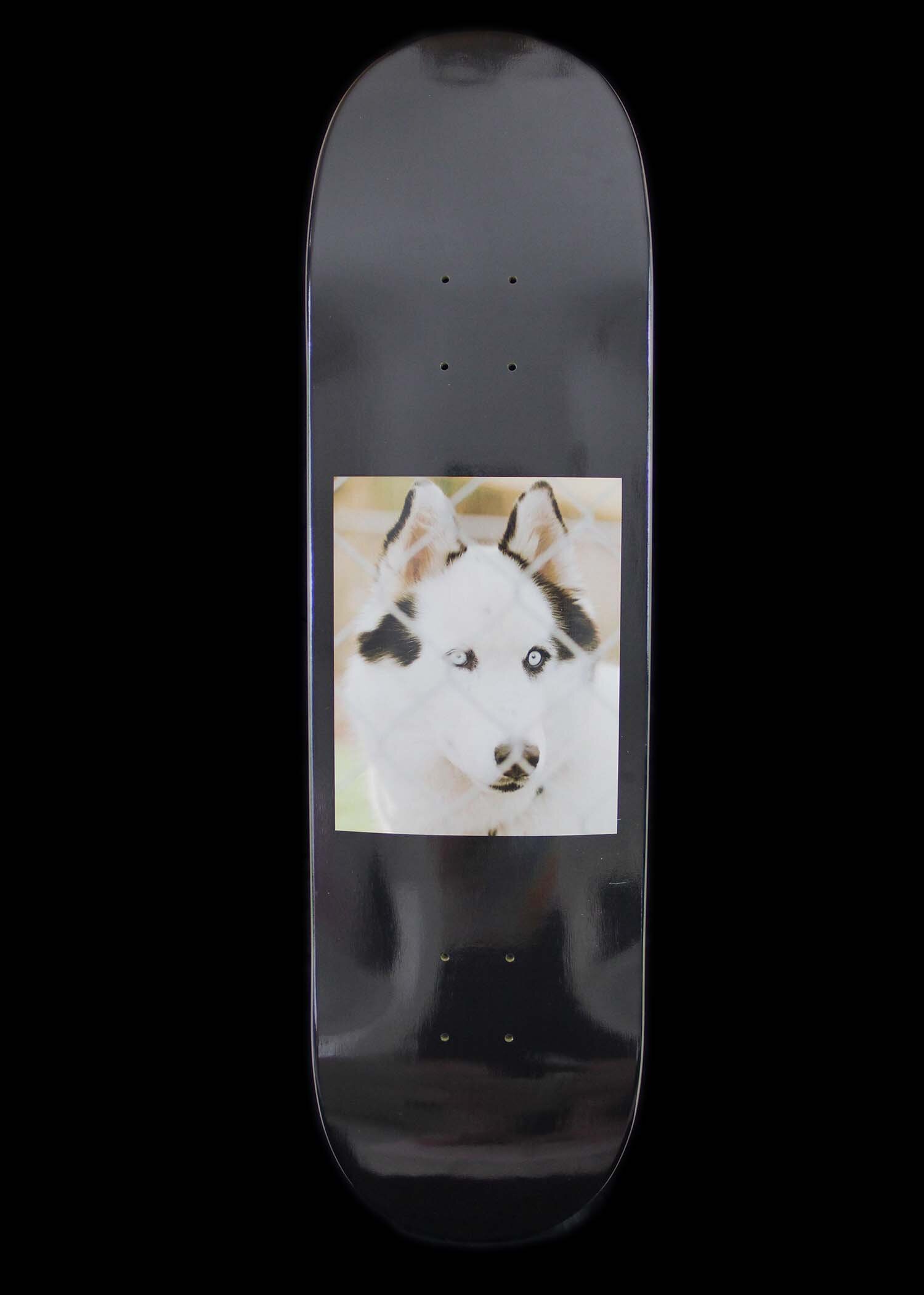 Detail Husky Skateboard Nomer 28