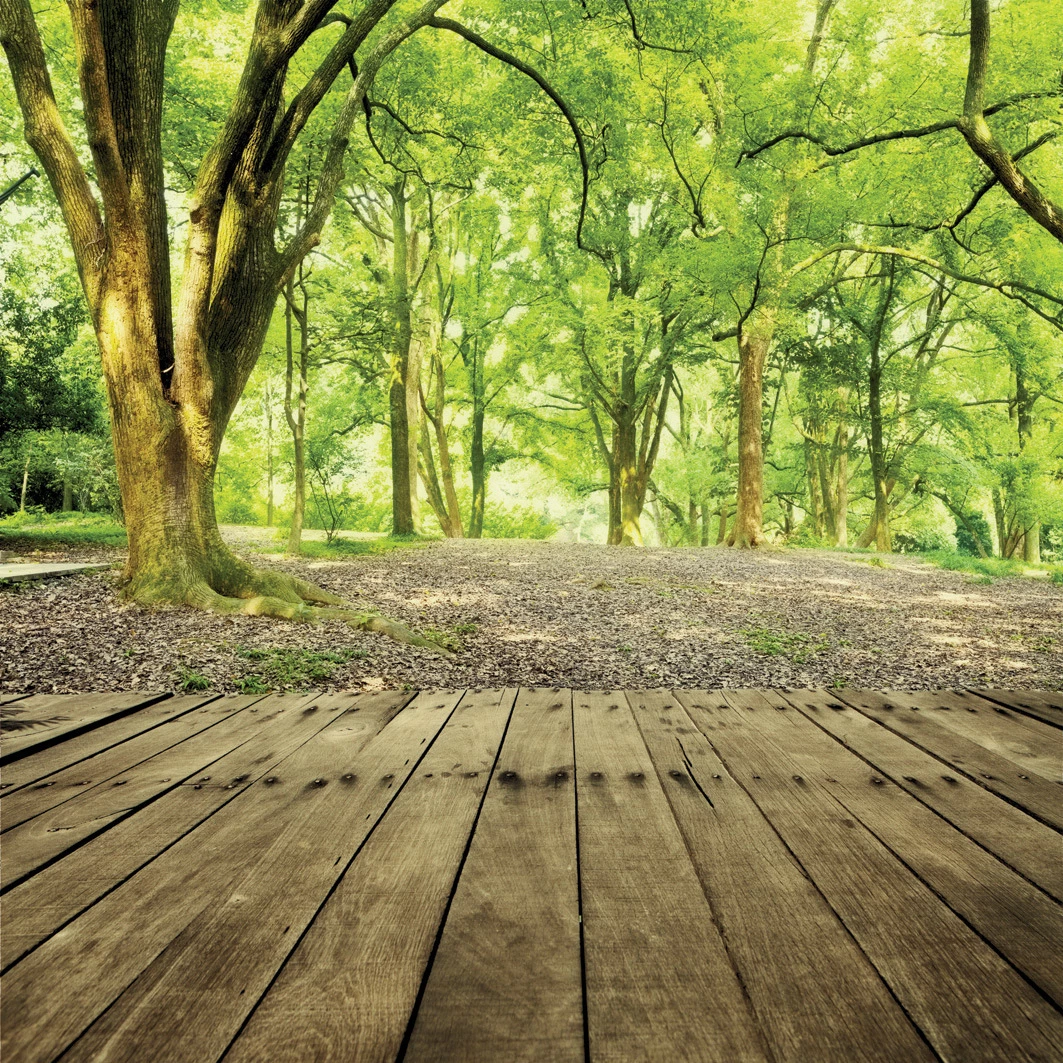 Detail Hutan Background Nomer 14