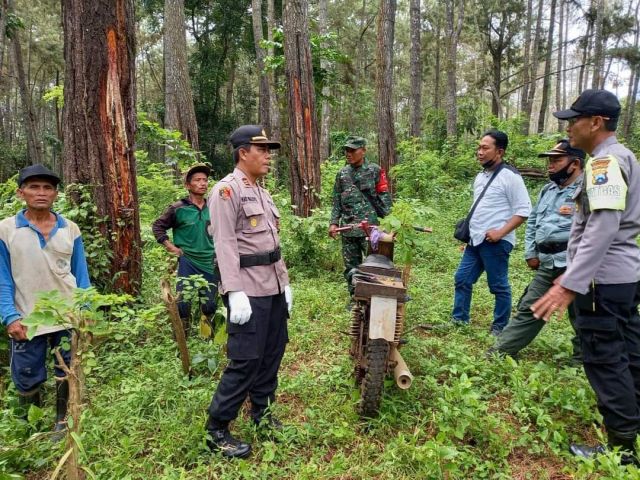 Detail Hutan Belantara Di Indonesia Nomer 23