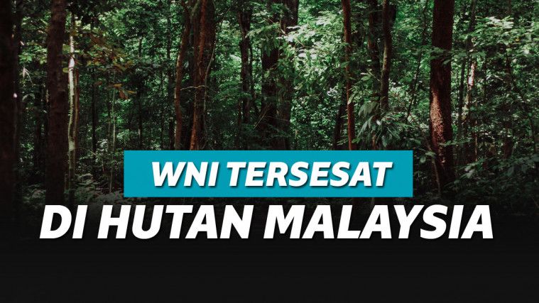 Detail Hutan Belantara Di Indonesia Nomer 37