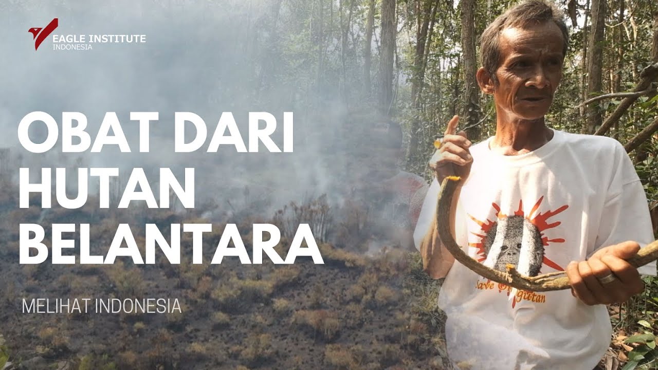 Detail Hutan Belantara Di Indonesia Nomer 43