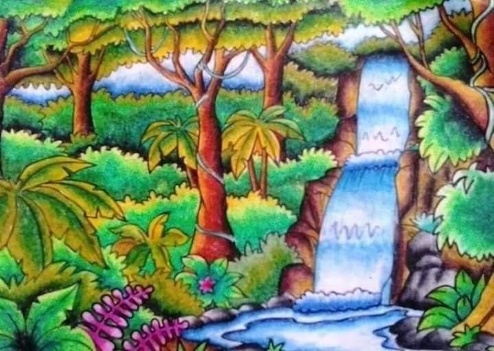 Detail Hutan Gambar Pemandangan Nomer 37