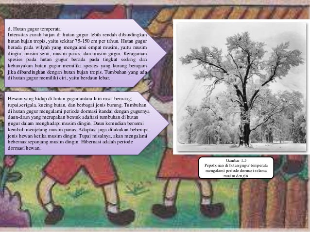Detail Hutan Gugur Temperata Nomer 19