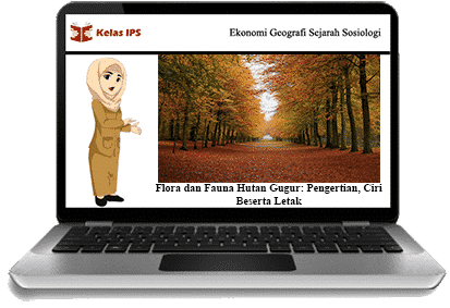 Detail Hutan Gugur Temperata Nomer 22